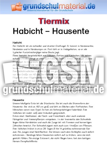 Habicht - Hausente.pdf